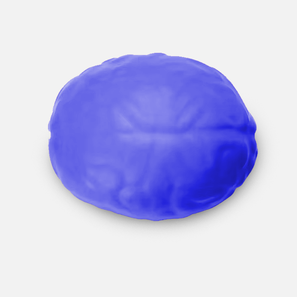 Custom Logo Brain Stress Ball Toy