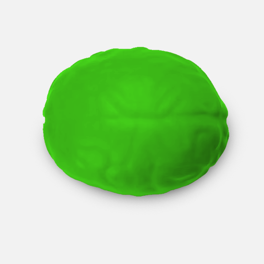 Custom Logo Brain Stress Ball Toy