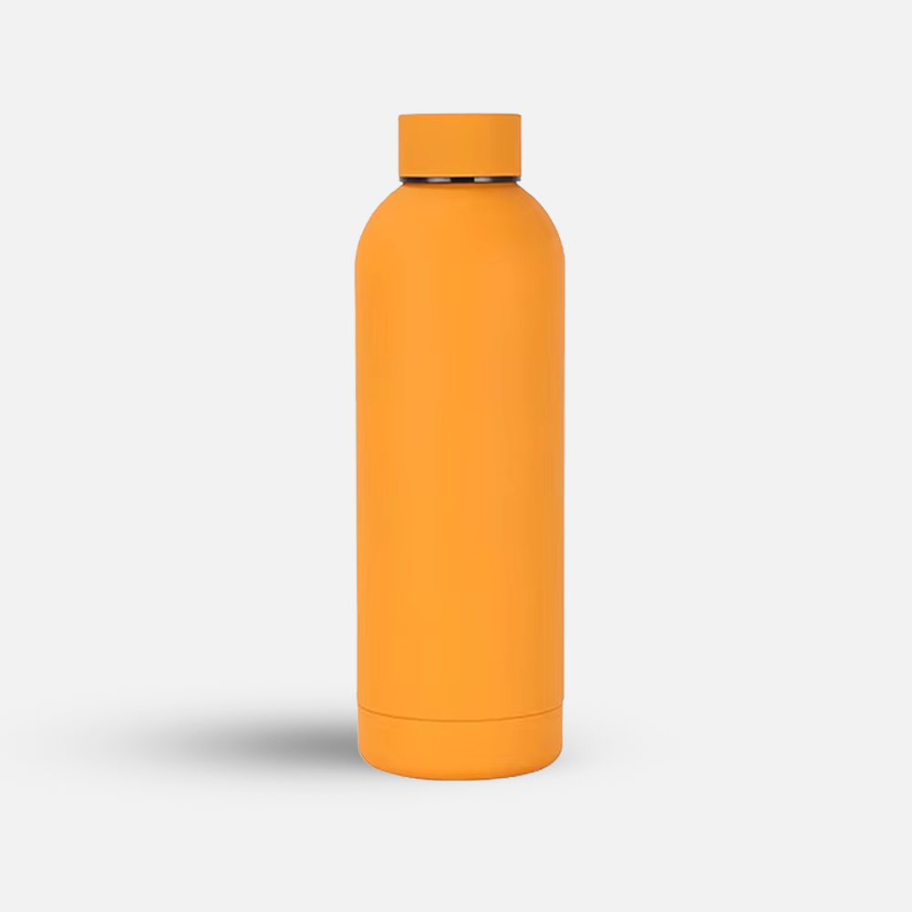 Custom 17oz Stainless Steel Sports Bottle