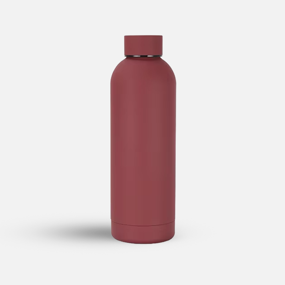 Custom 17oz Stainless Steel Sports Bottle