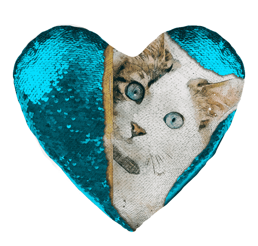 Heart Shaped Sequin Pillow