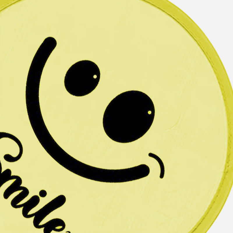 Custom Logo Foldable Nylon Flying Disc