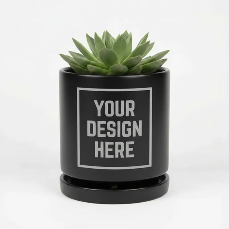 Ceramic Plant Pot 6"