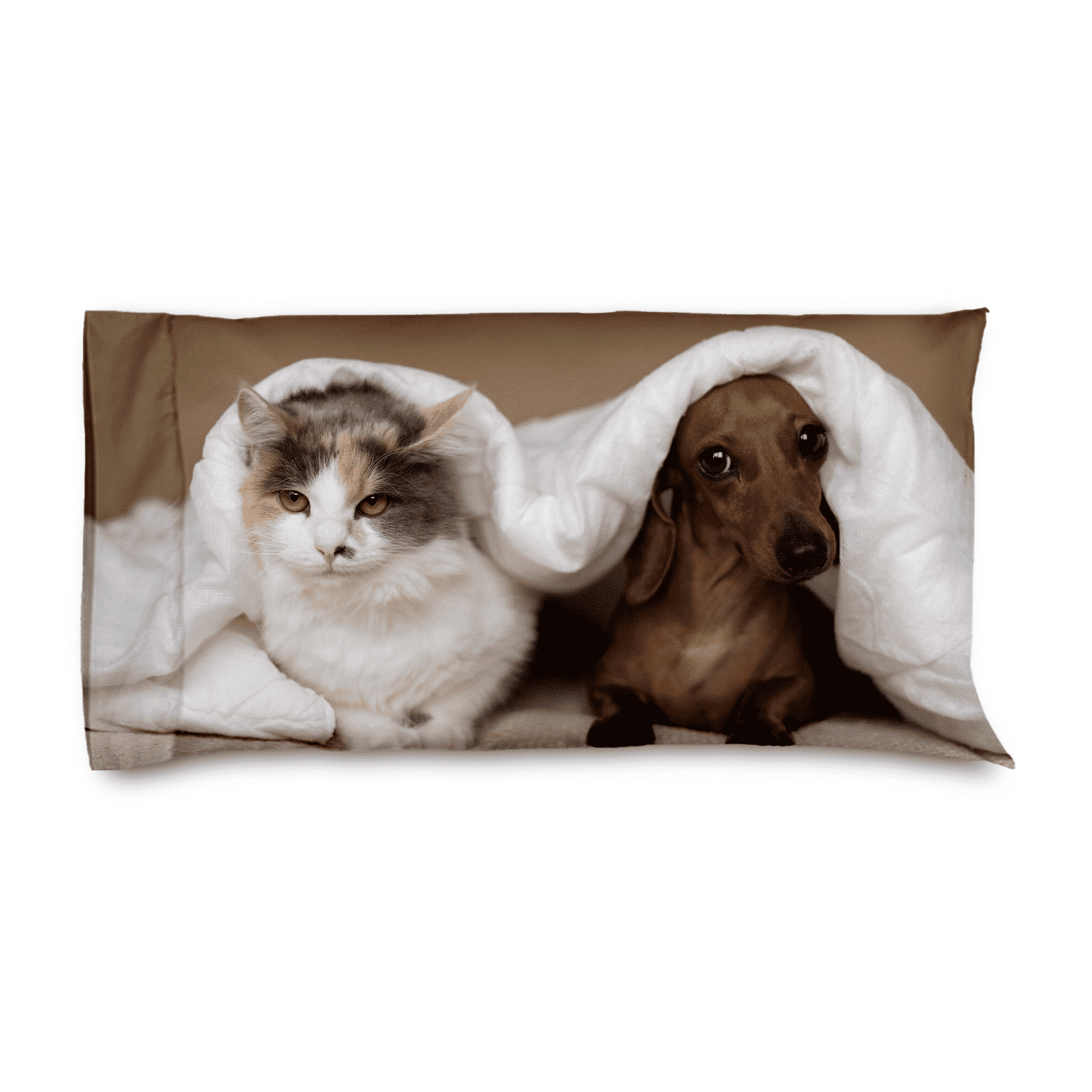 Pillowcase