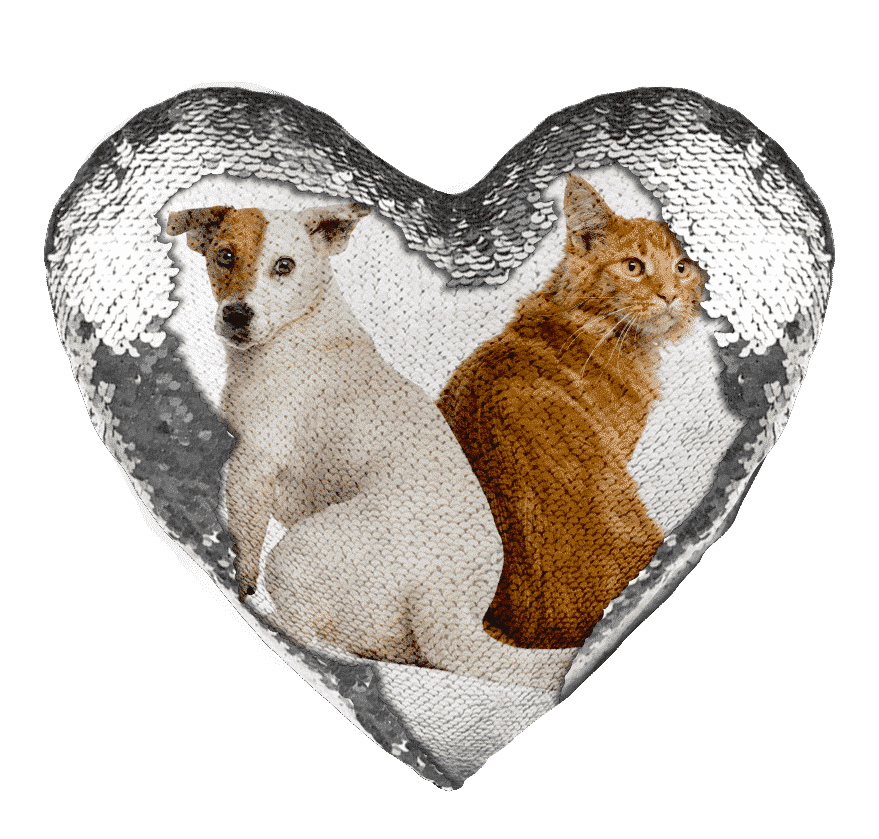 Heart Shaped Sequin Pillow