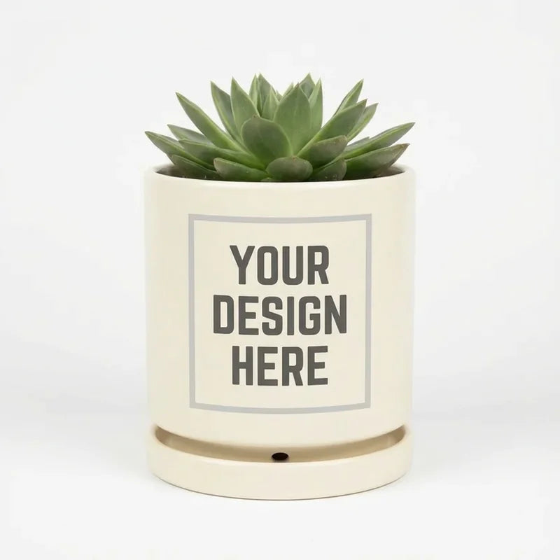 Ceramic Plant Pot 6"