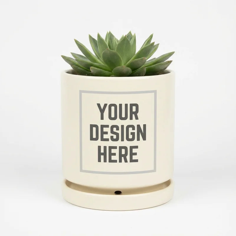 Ceramic Plant Pot 6"