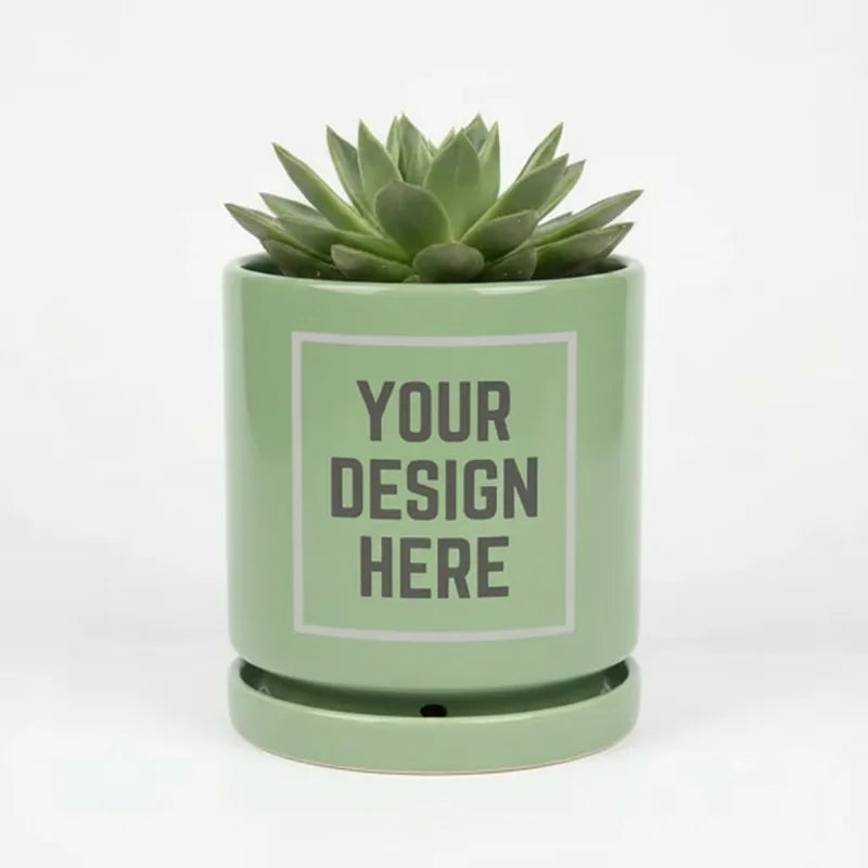 Ceramic Plant Pot 6"
