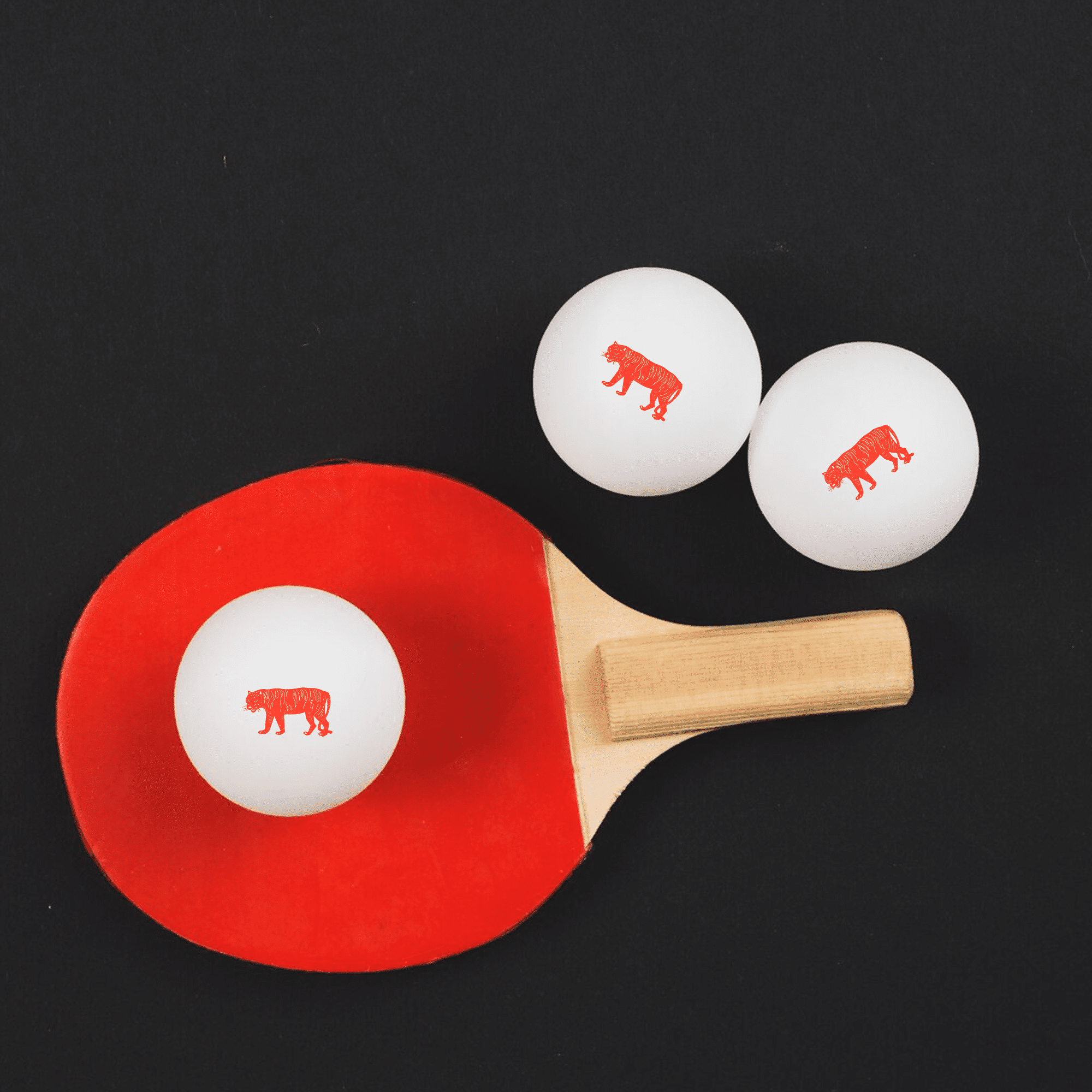 Ping Pong Balls Set of 6