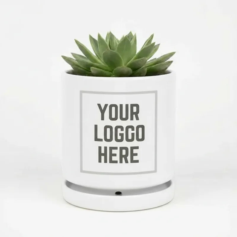 Ceramic Plant Pot 6"
